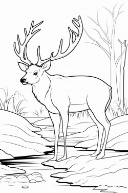deer drinking from water who has cwd