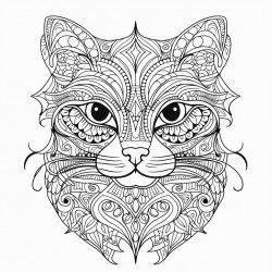 gato
