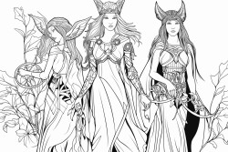 elves fairies druids