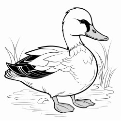 duck