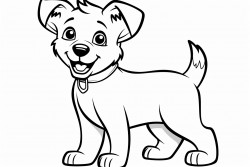 chien de berger noir et blanc