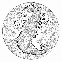 mandala sea horse