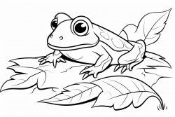 little frog on a leaf