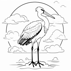 meteorologist stork