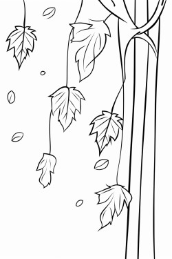 leaves falling from trees in autumn no shading