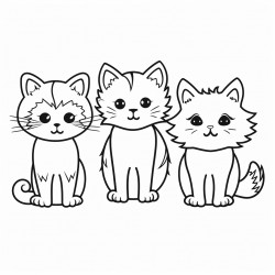 gatos