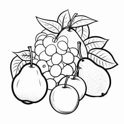fruits