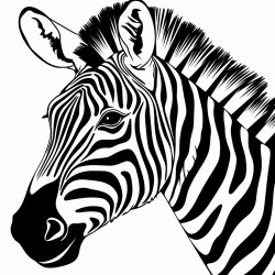 retro cartoon picture of a closeup face of a zebra