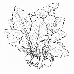 green leafy vegetables