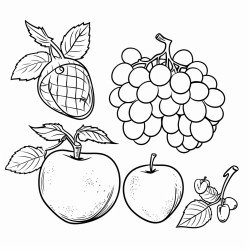 fruits