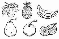 fruit