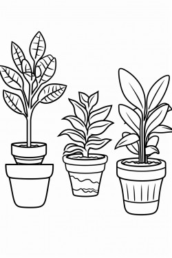 plants