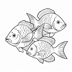 peces