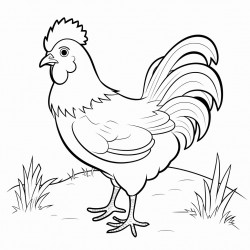 a chicken