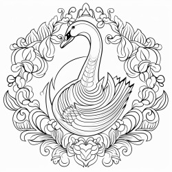 un cisne al estilo mandala