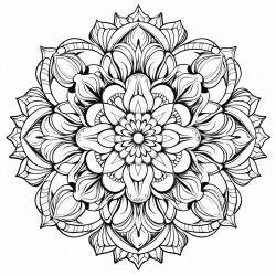 detailed mandalas