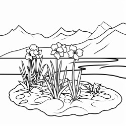 plants on land