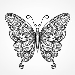 butterfly with mandala pattern inside
