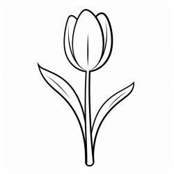 long stemmed tulip