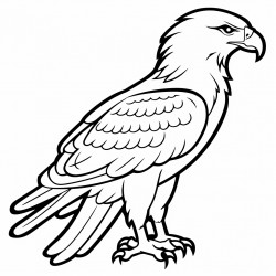 simple and cute eagle outline drawing with thin bold lines