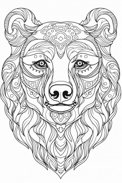 portrait of a bear