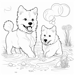 two samoyeds playing with ball in the water while fishes are around