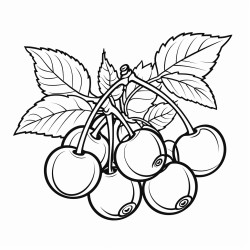 cherries