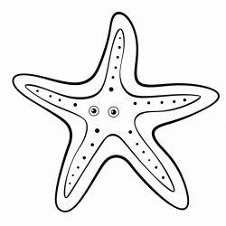 create a starfish