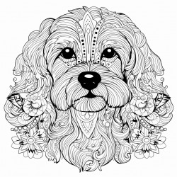 my dog
