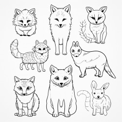 animaux