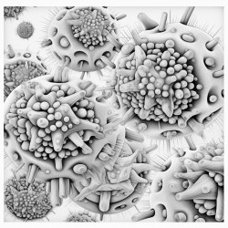 virus particles