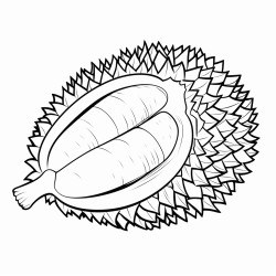 durian clipart