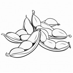 edamame pods snacks food in bold and easy