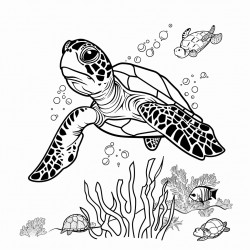 turtle