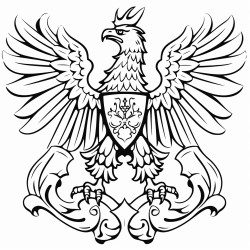 flaga polski i polak w stroju narodowym