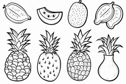 cocnuts pineapples melon mango fruits