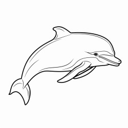 dolphin