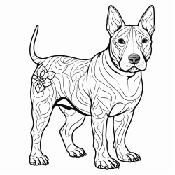 bull terrier