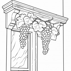 grapes hanged from a brach outside room corner window