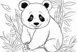 panda it list