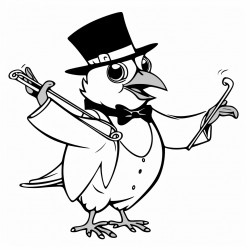 orchestra conductor pigeon