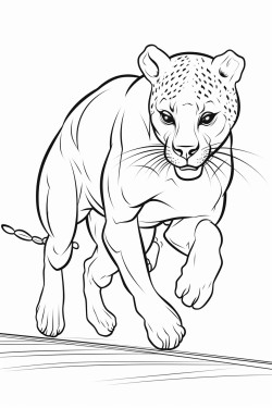 cheetah and antelope training for track and field