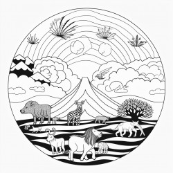 a picture on the story of creation in the bible for 6 and 7 year old year