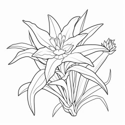 bromeliad flower