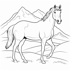 a horse