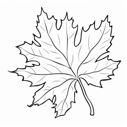 feuille