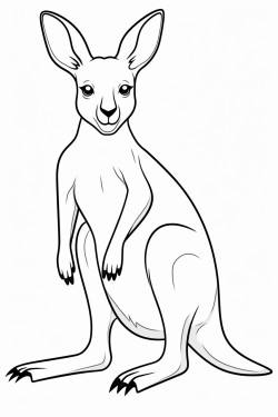 kangaroo