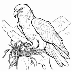 a cute icelandic golden eagle in its nest