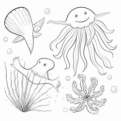 jellyfish starfish and fish