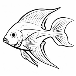 angelfish that swim with fins so bright gliding through the ocean light